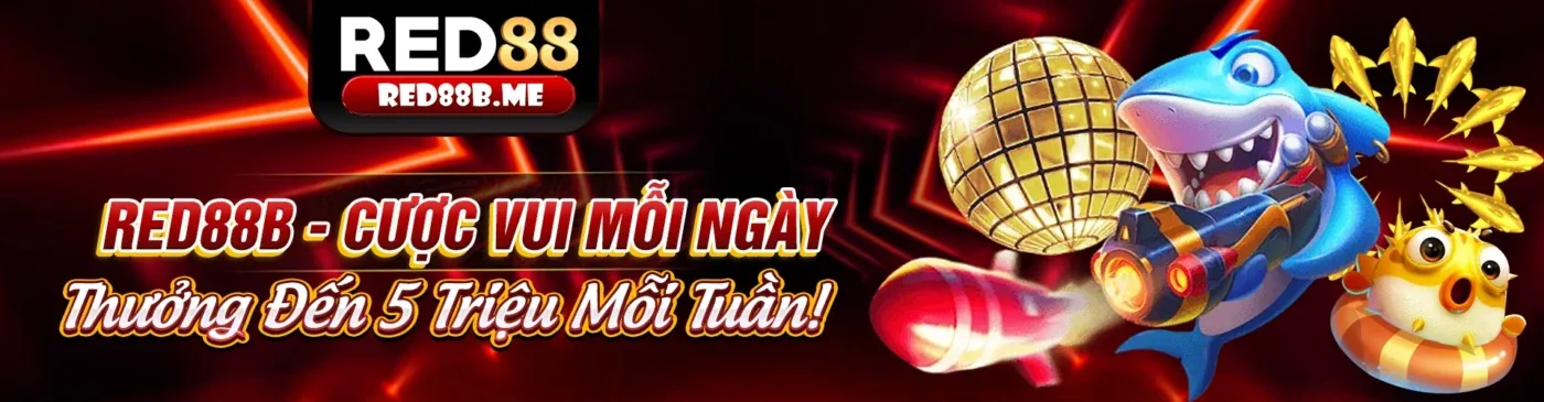 Hình ảnh minh họa Cá cược có trách nhiệm tại fun88 king